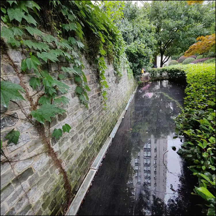 1694655081659064136.jpg 2.jpg